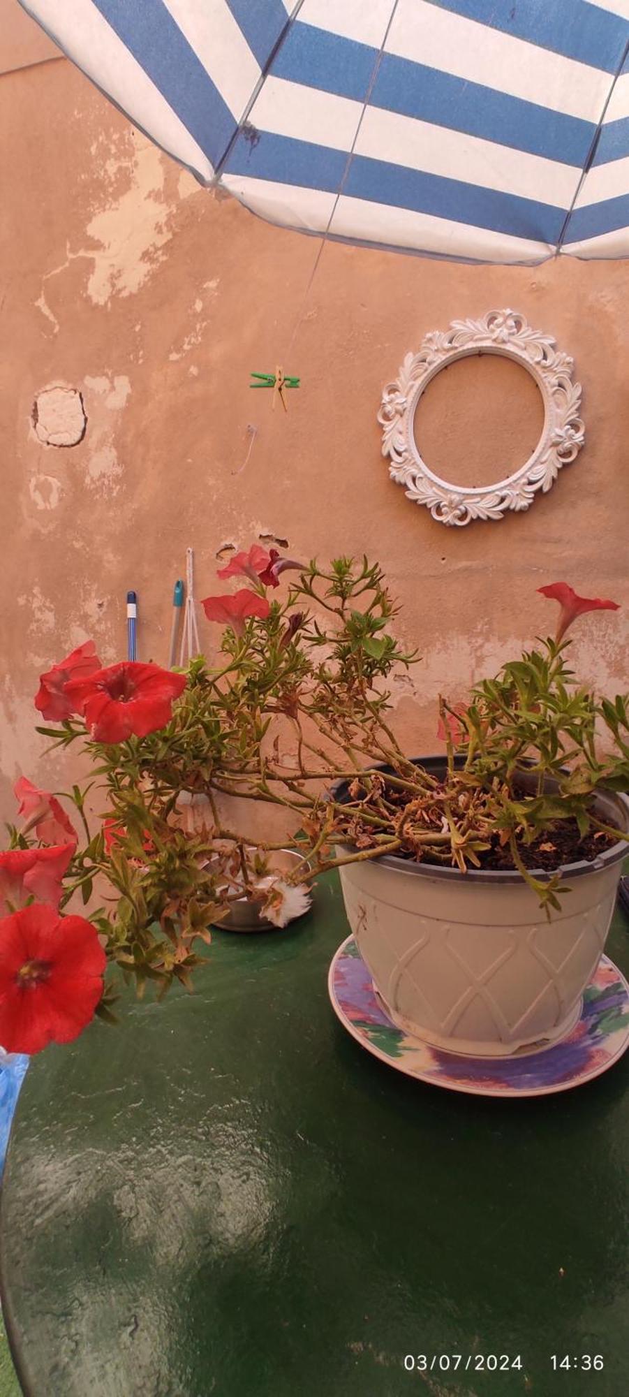 Apartment Casa Di Mare